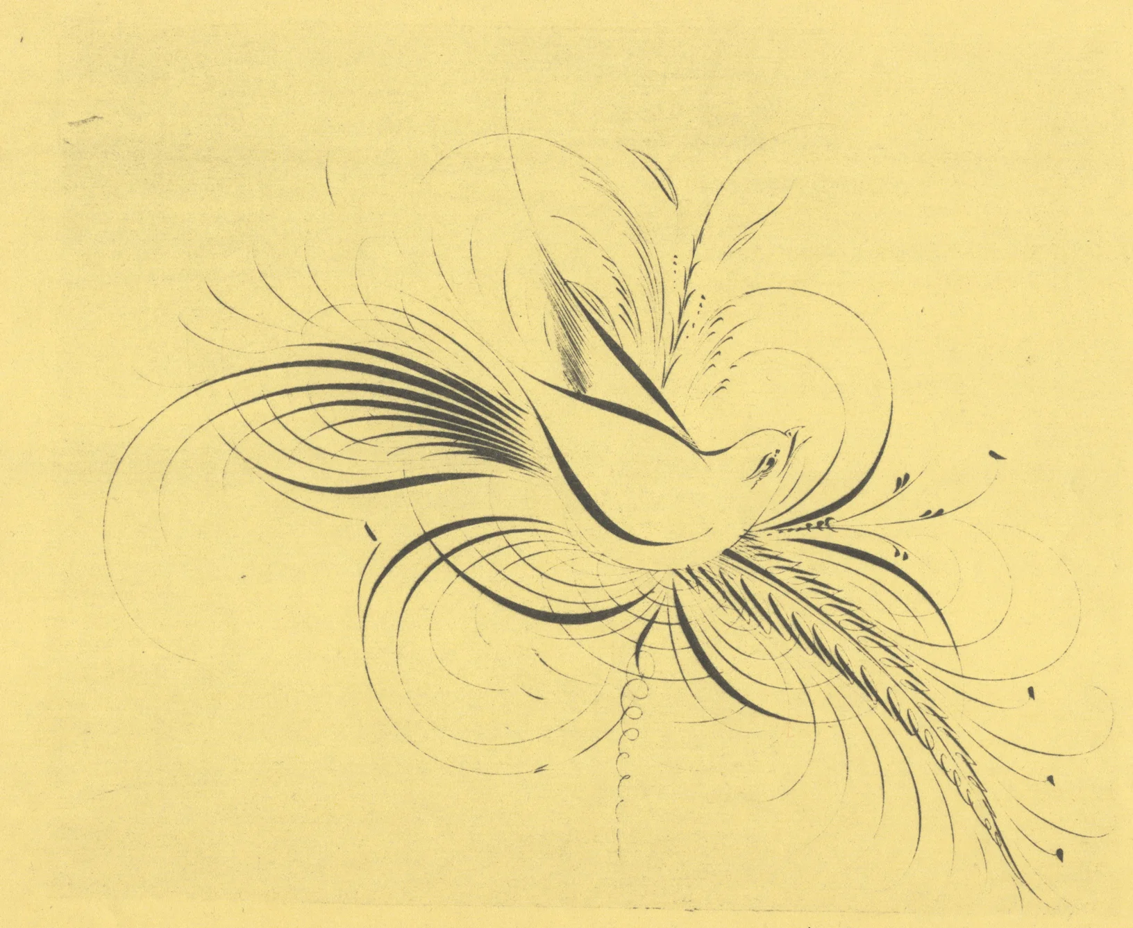 Bird-4_WEB.jpg