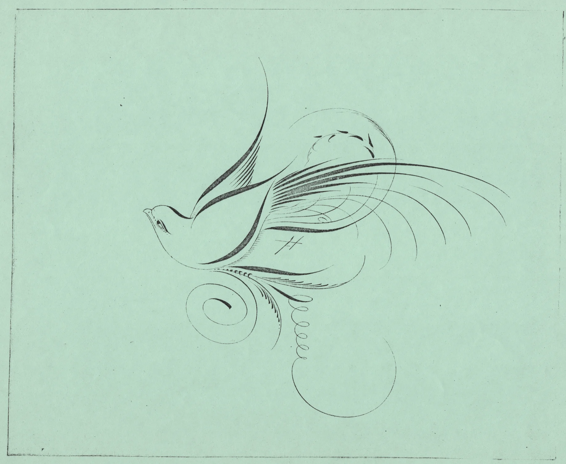 Bird-6_WEB.jpg