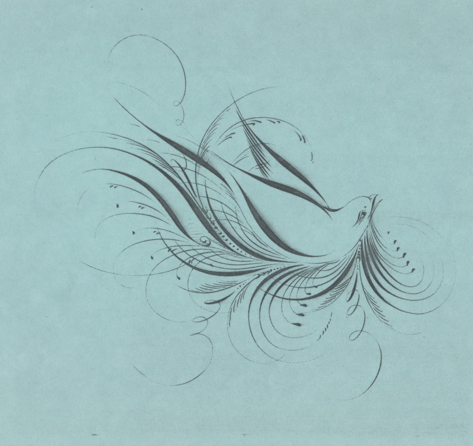 Bird-8_WEB.jpg