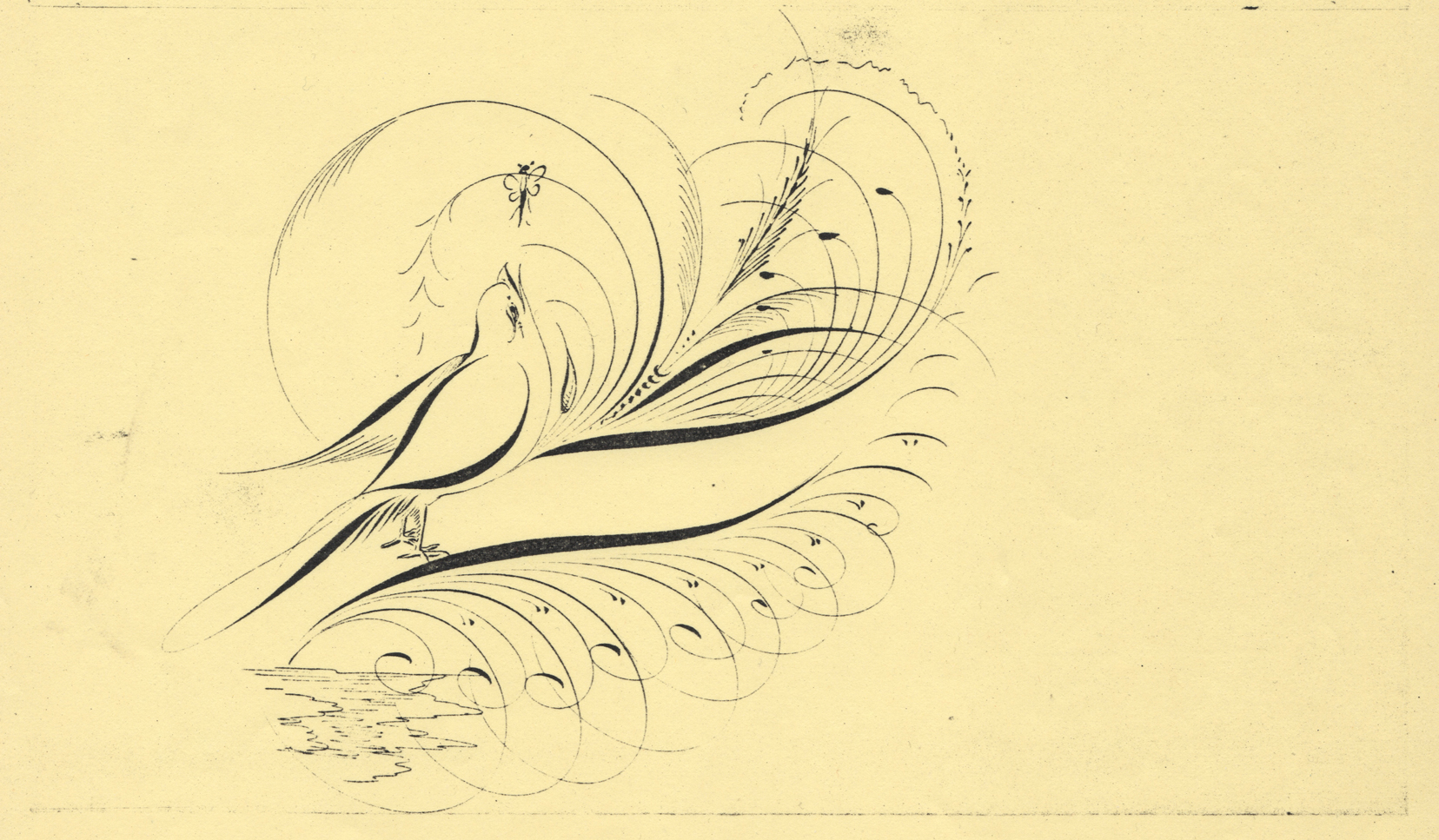 Bird-with-Feet-2_WEB.jpg