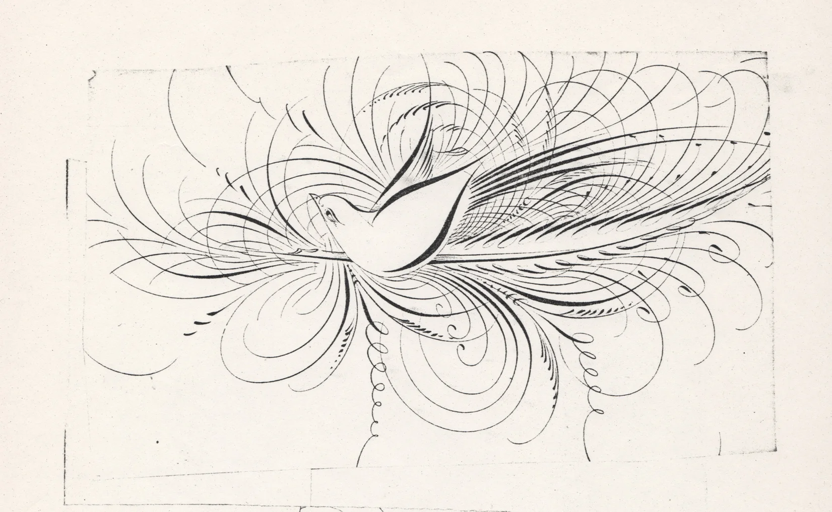 Bird-with-Quill-1_WEB.jpg