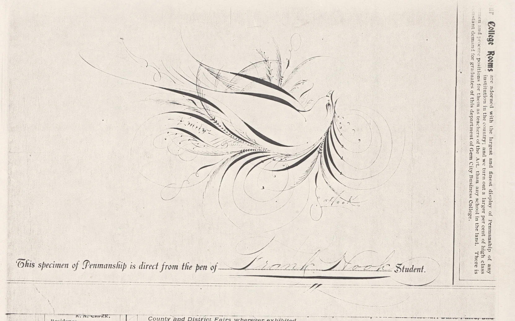 Bird-with-Scroll---Emily-2_WEB.jpg
