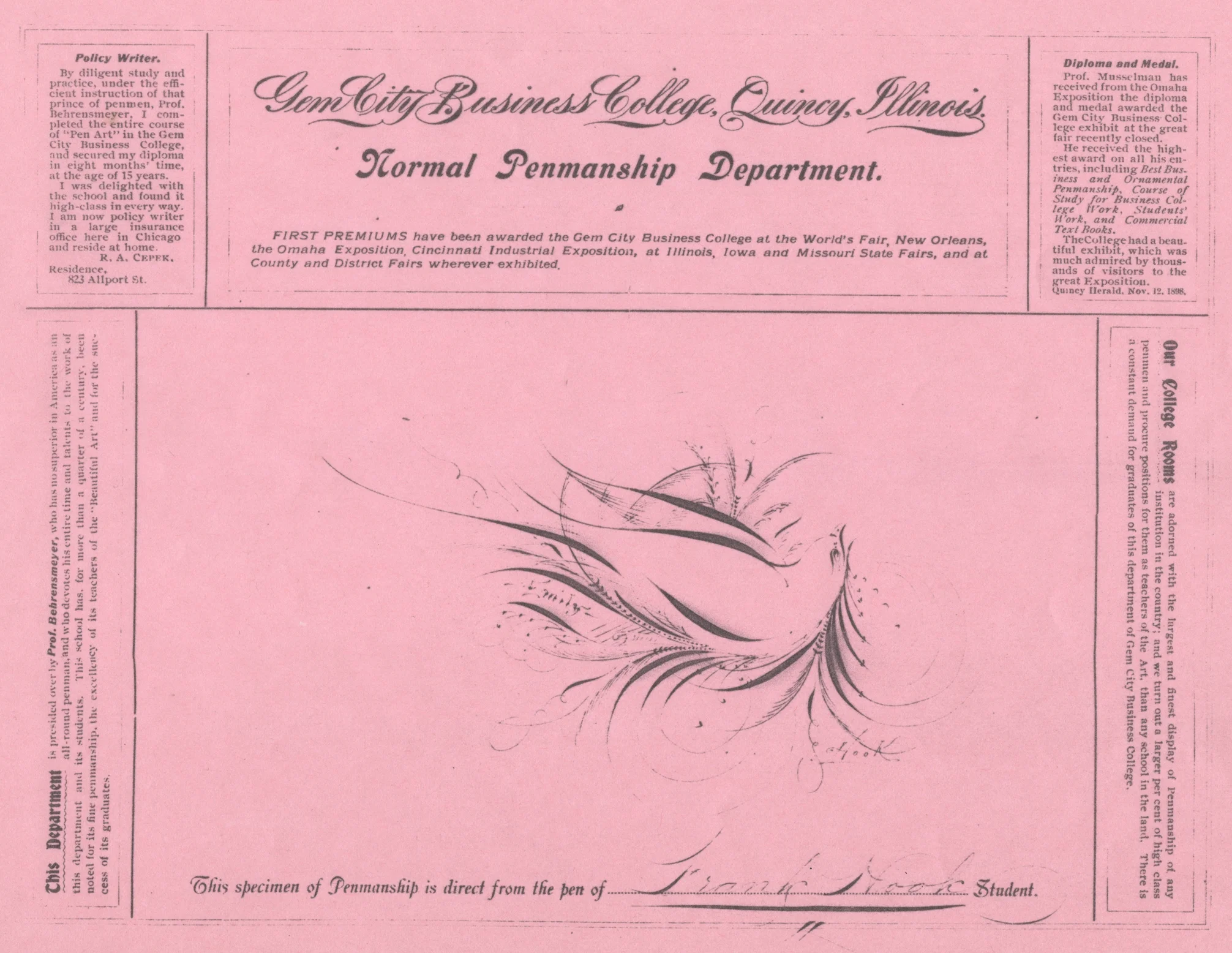 Bird-with-Scroll---Emily-1_WEB.jpg
