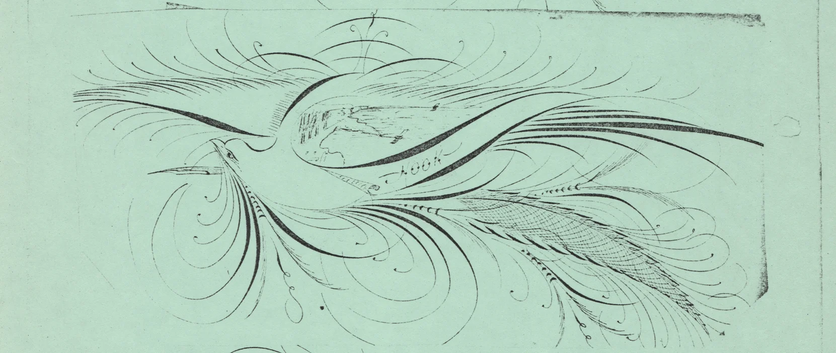 Bird-with-Scroll-and-Quill---Hook_WEB.jpg