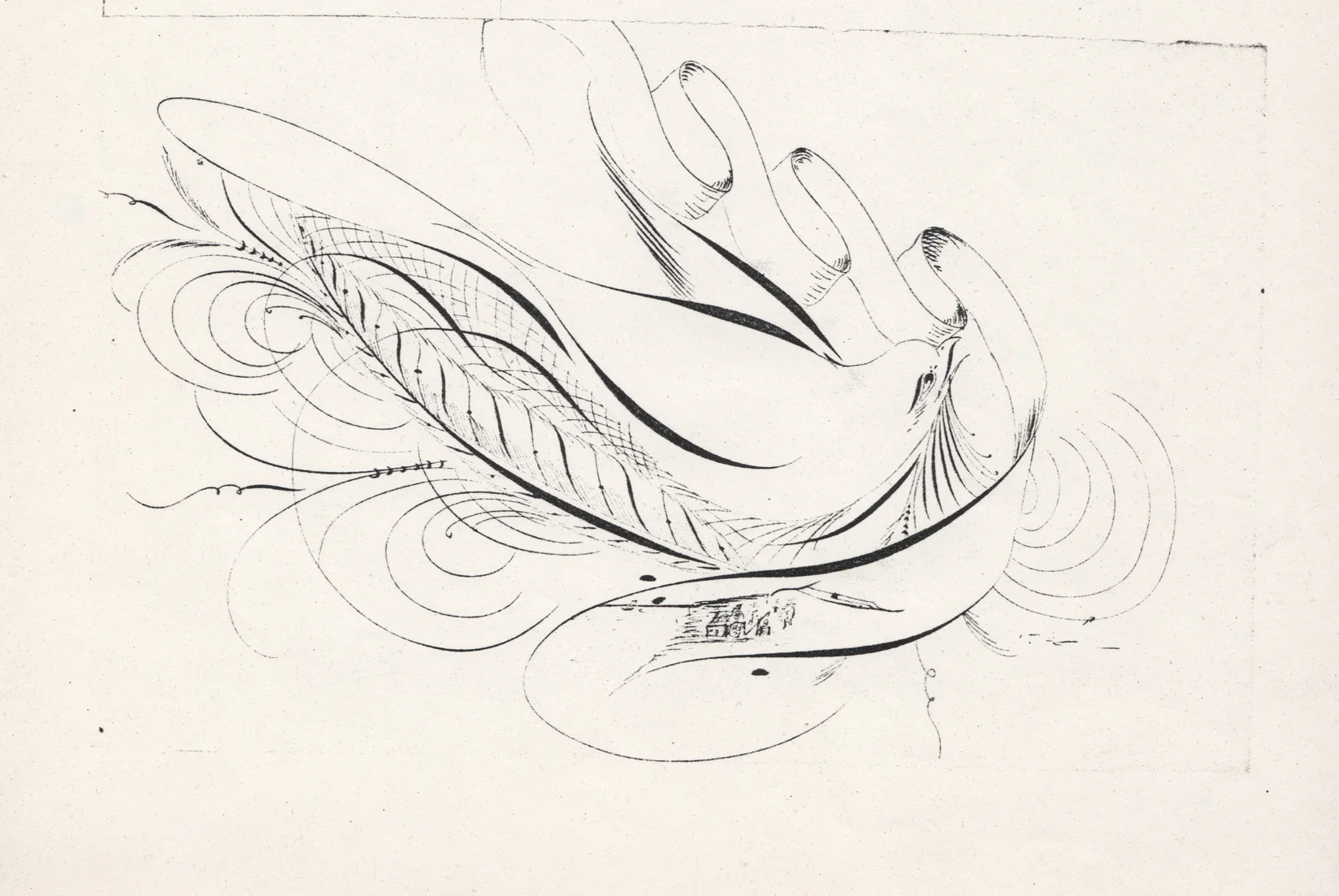 Bird-with-Scroll-and-Quill-2_WEB.jpg