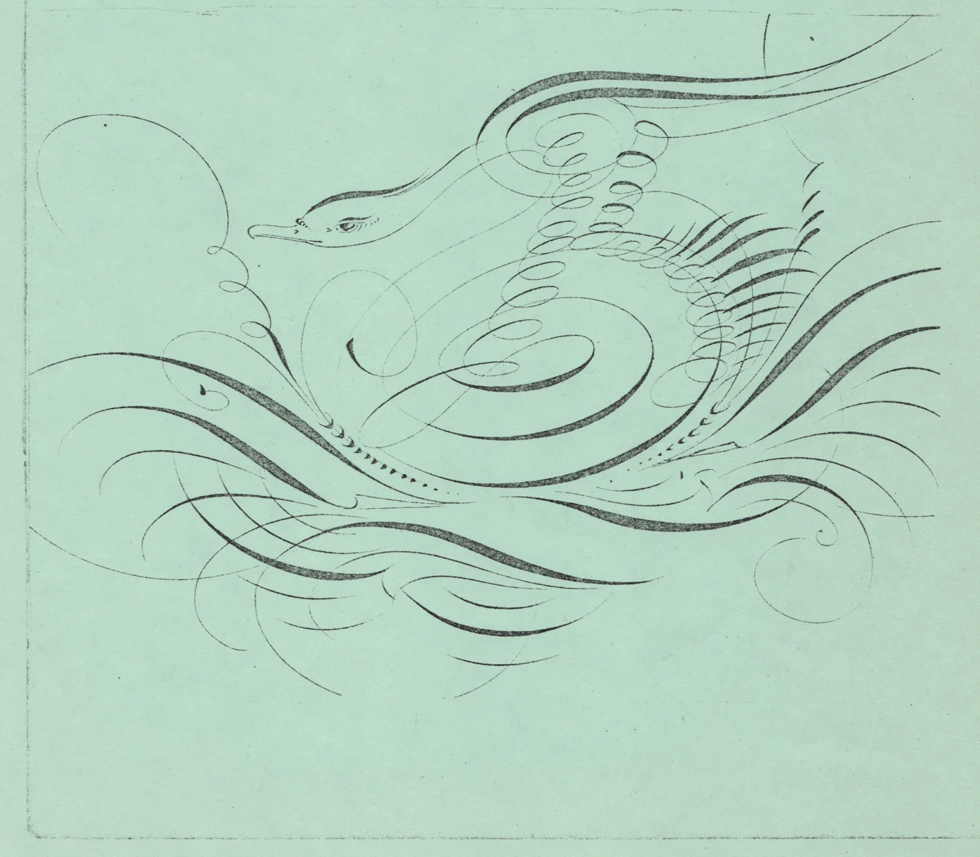 Swan-2_WEB.jpg