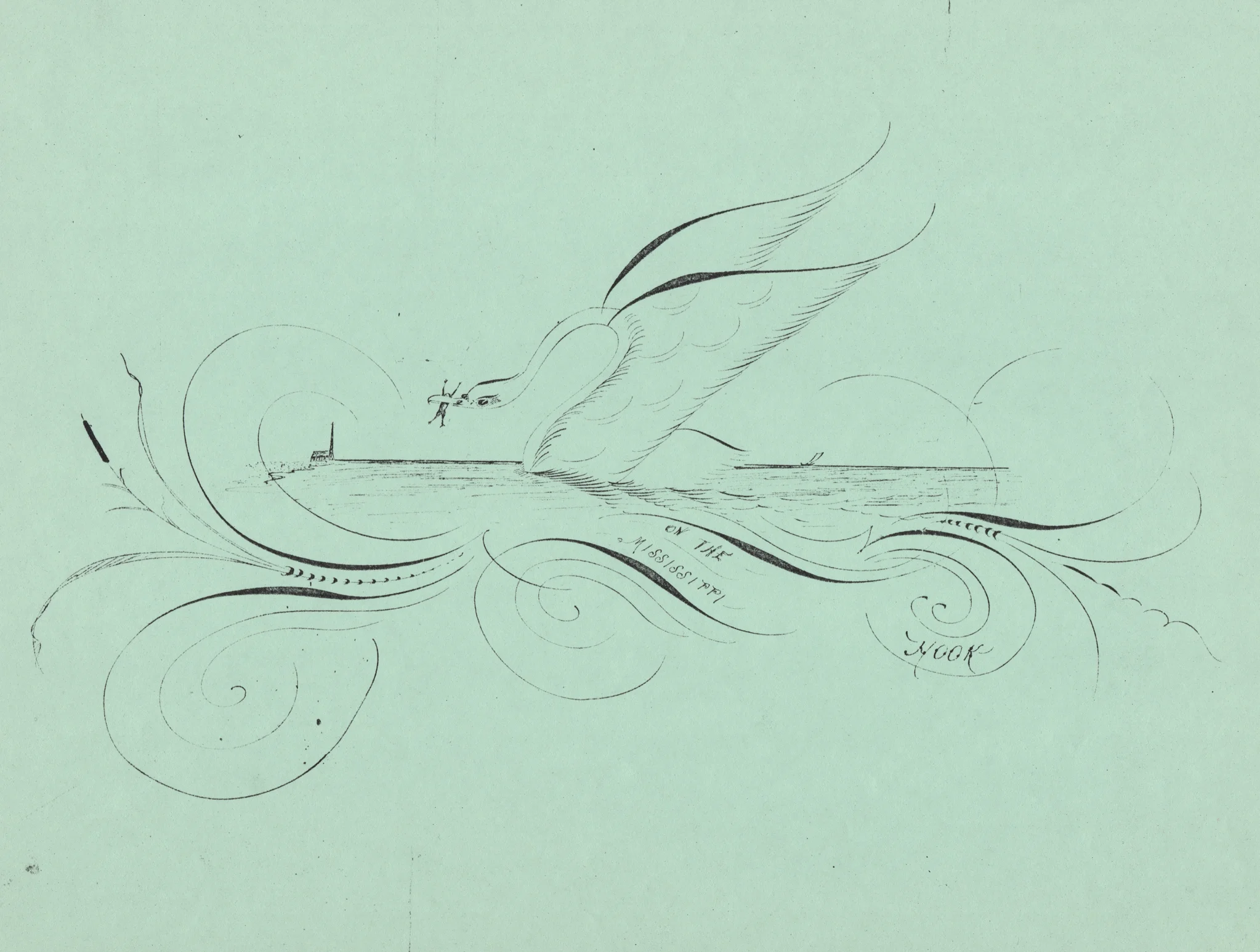 Swan-4_WEB.jpg