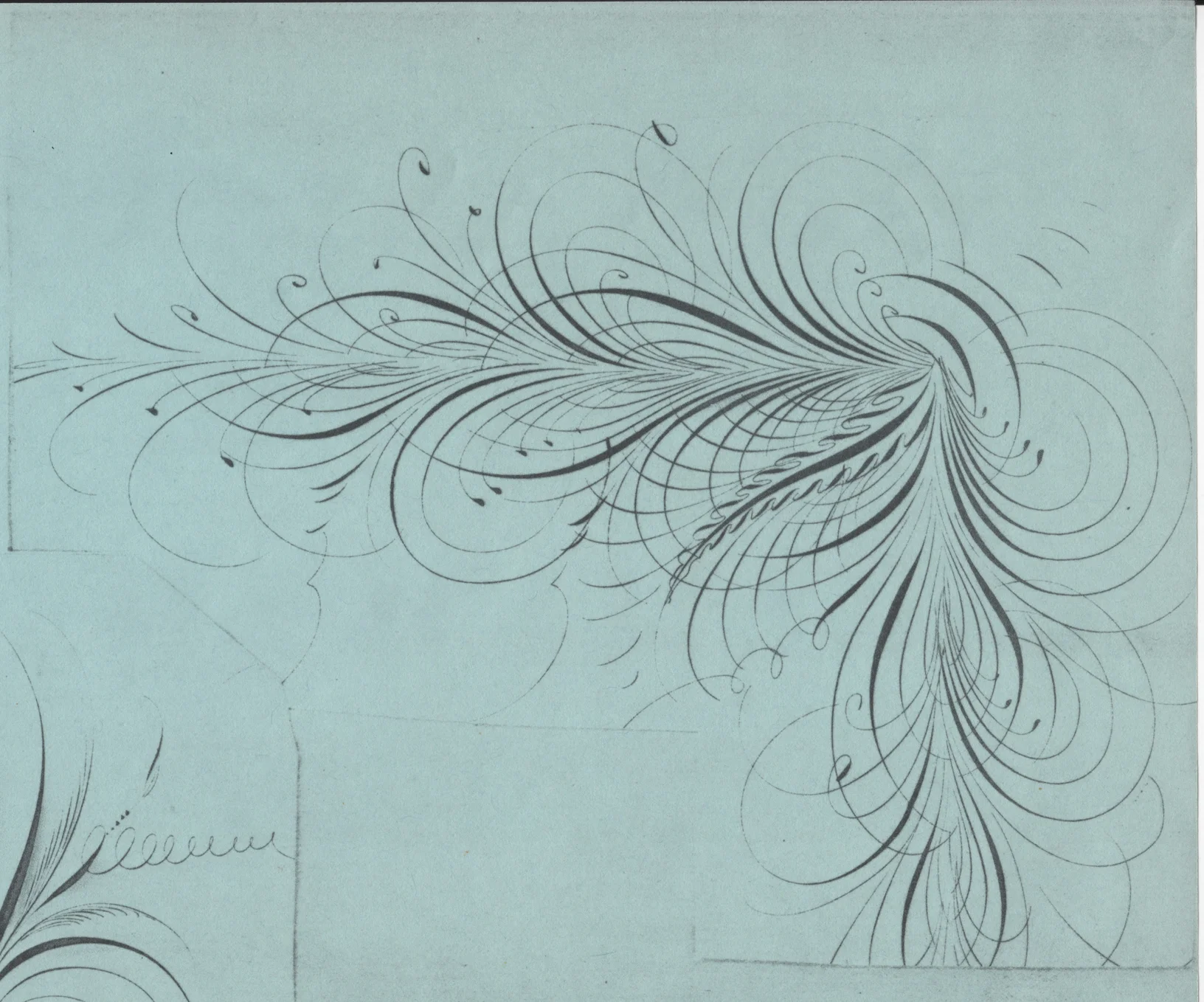 Corner-Flourish-1b_WEB.jpg
