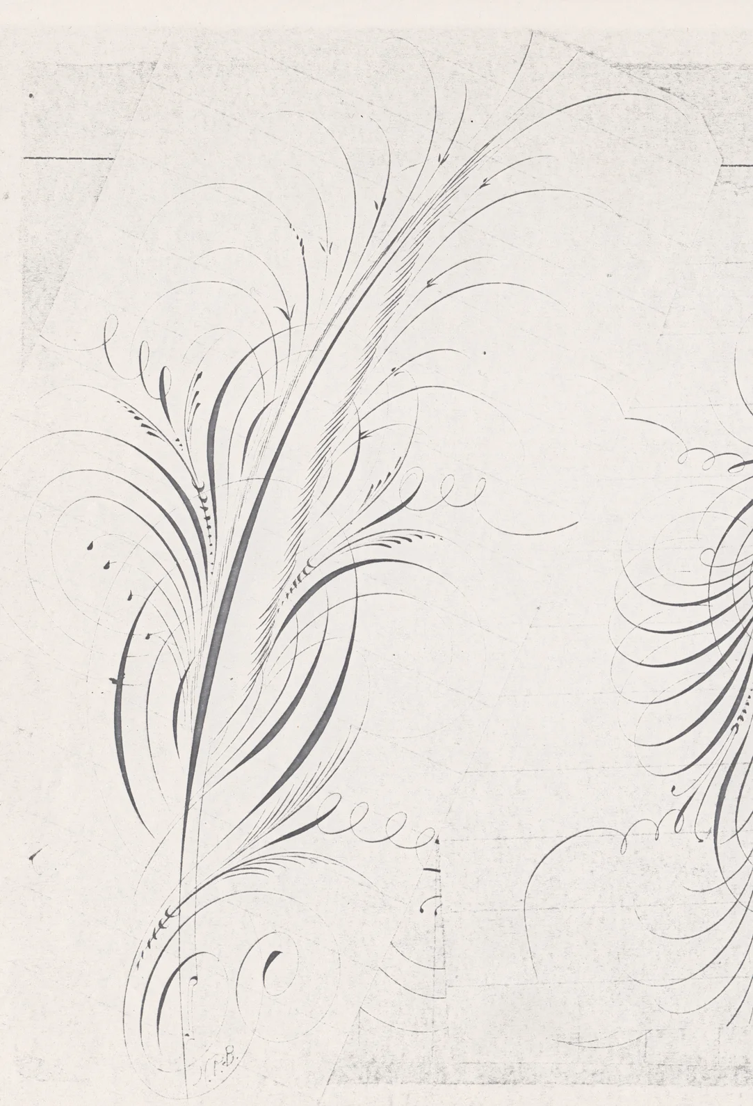 Quill-1_WEB.jpg