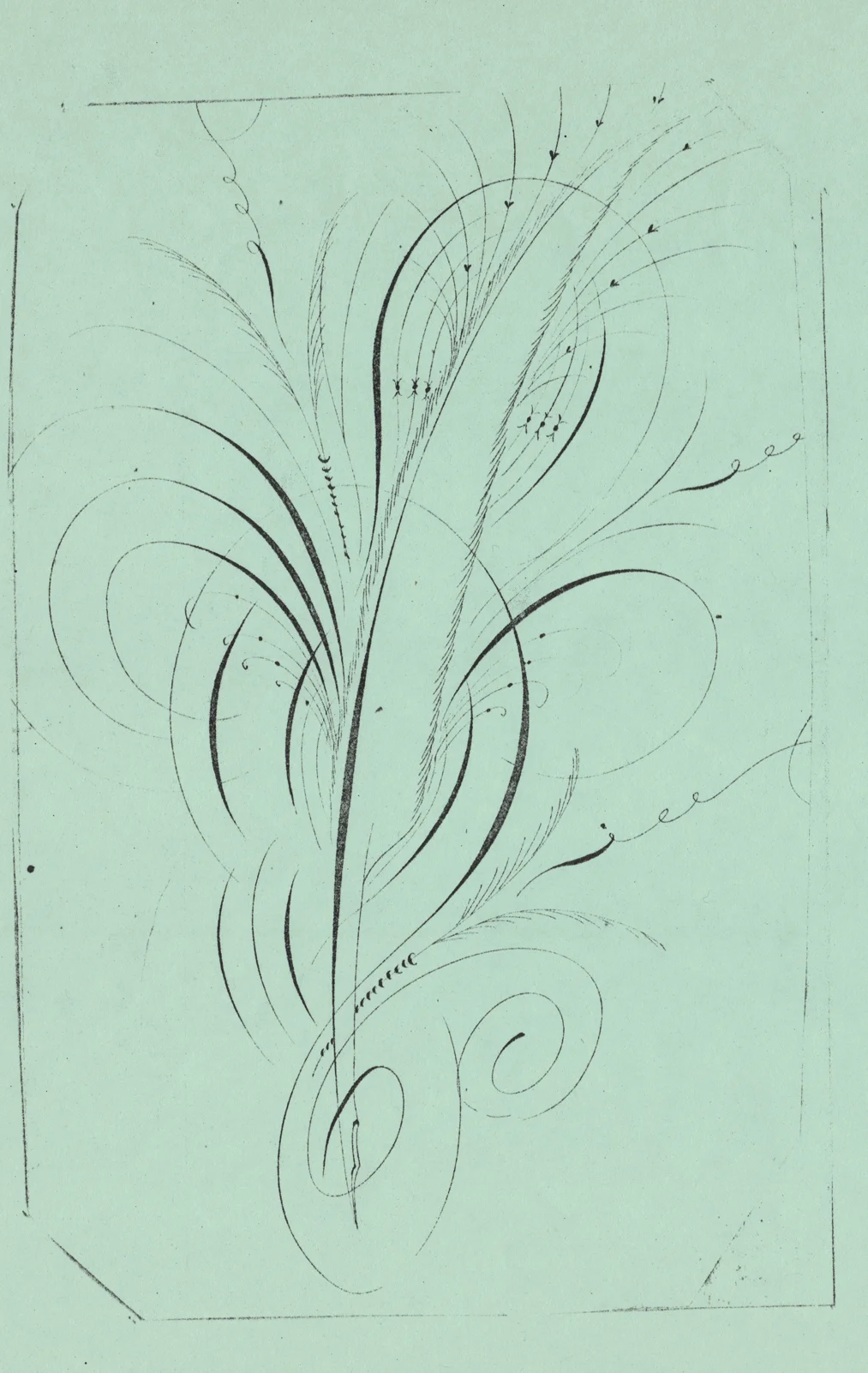 Quill-2_WEB.jpg