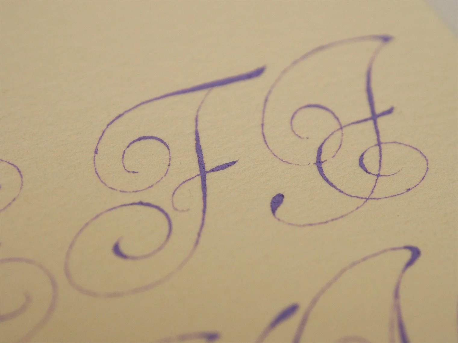 Copy of of Van de Velde's Flourished Italian Hand Capital Letter F