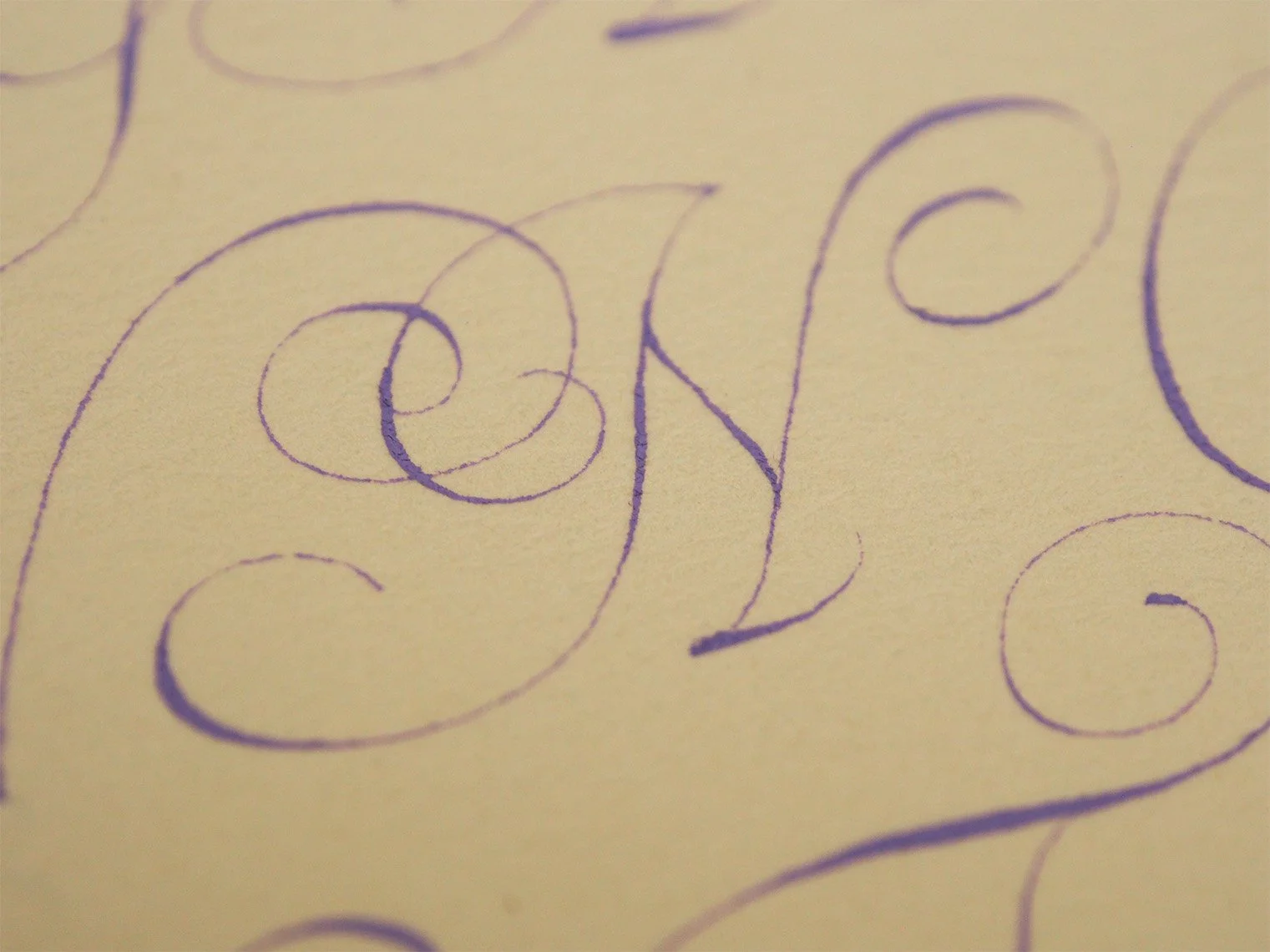 Copy of of Van de Velde's Flourished Italian Hand Capital Letter N