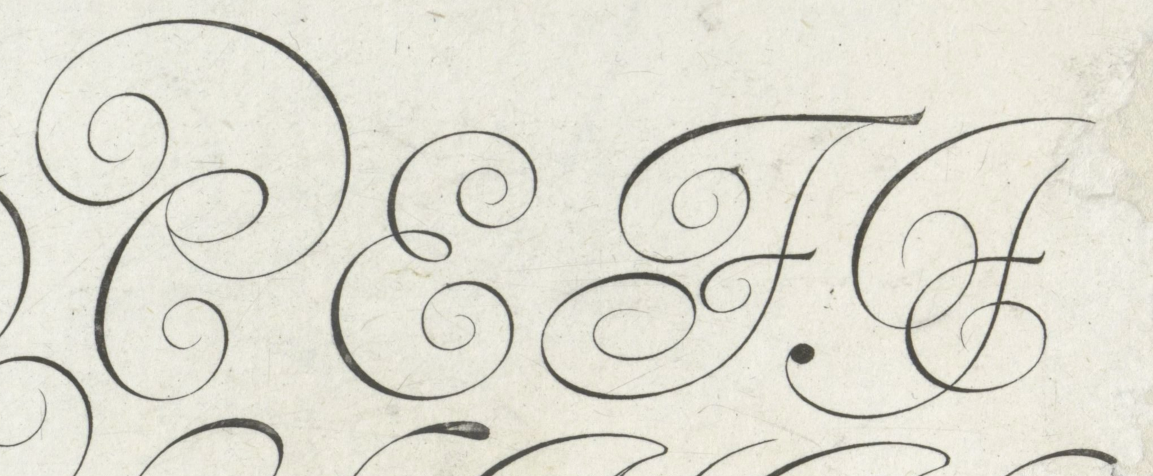 Rijksmuseum Collection Detail of Van de Velde Flourished Italian Hand Capitals Letters E and F