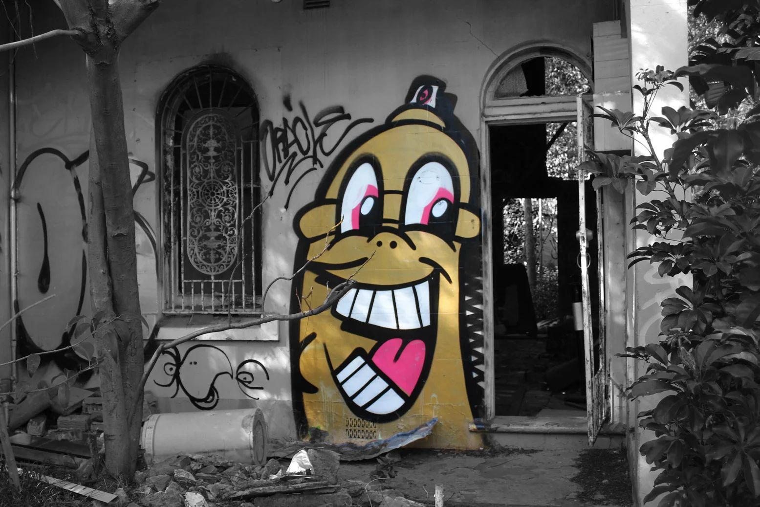 Grafitti_bnw-colour.jpg