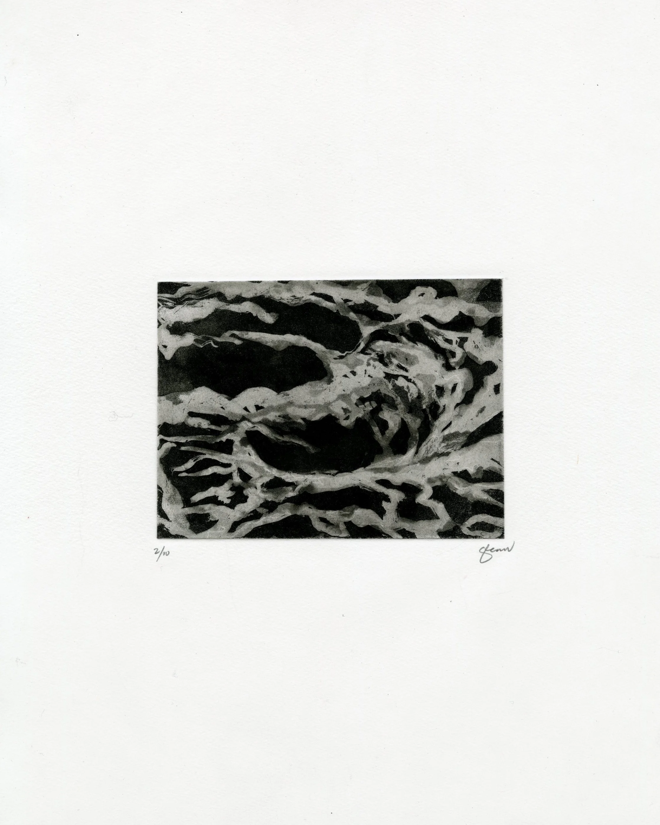 bookprintsAP002.jpg