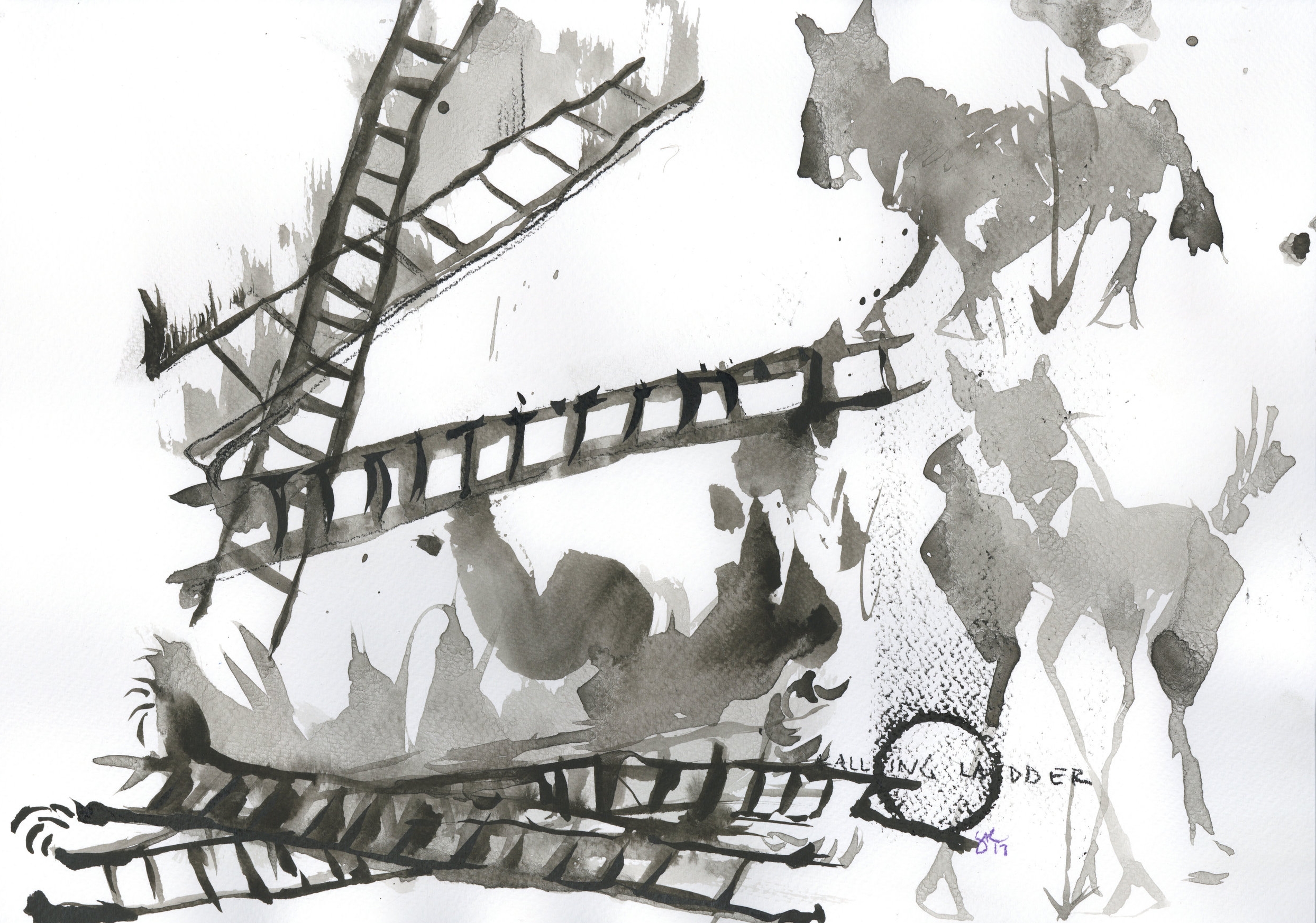 ladderstudy copy.jpg