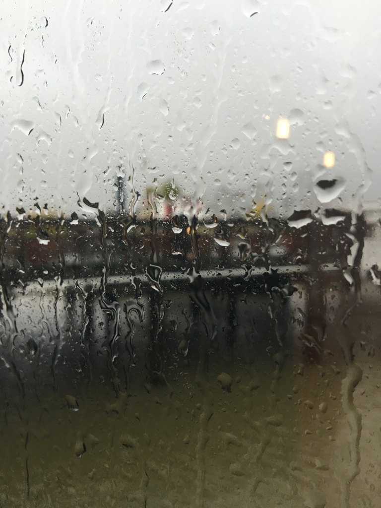 A wet world view