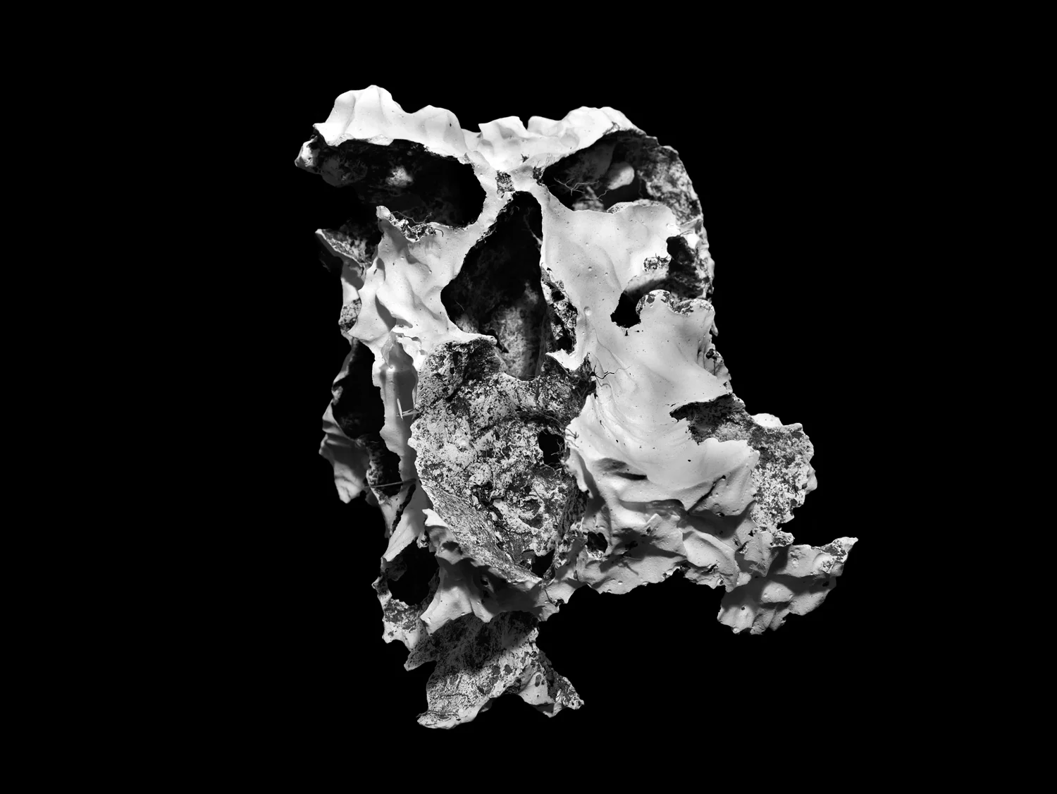 Plaster - 2014