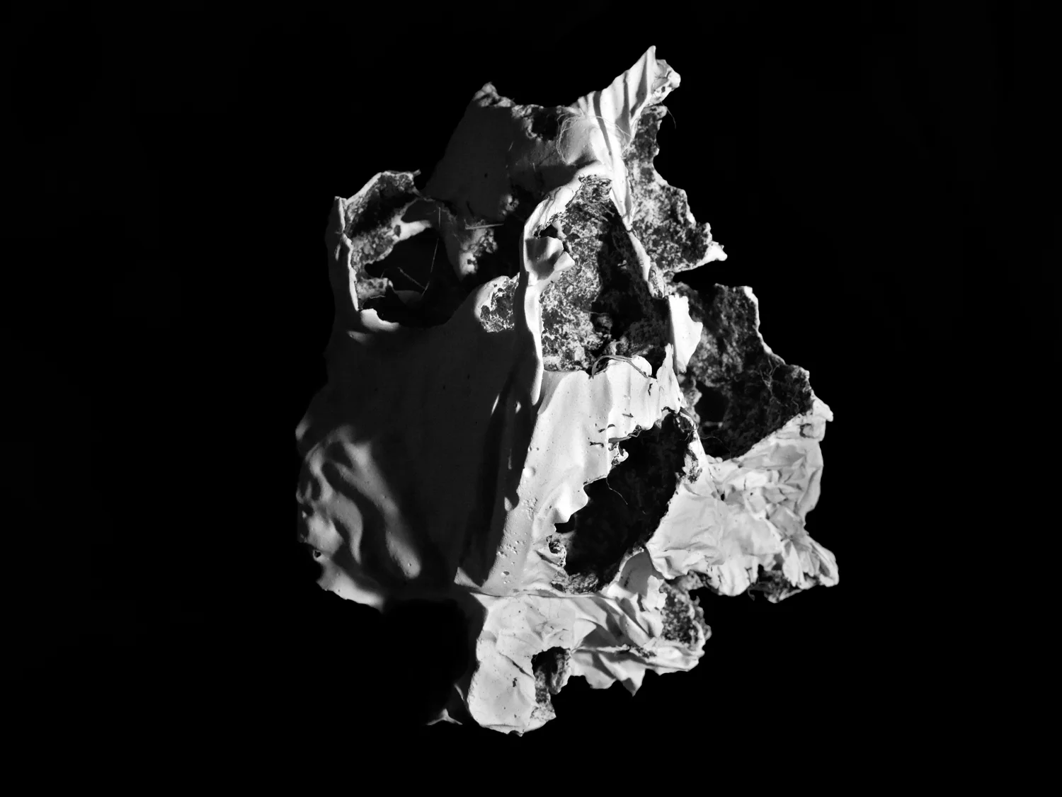 Plaster - 2014
