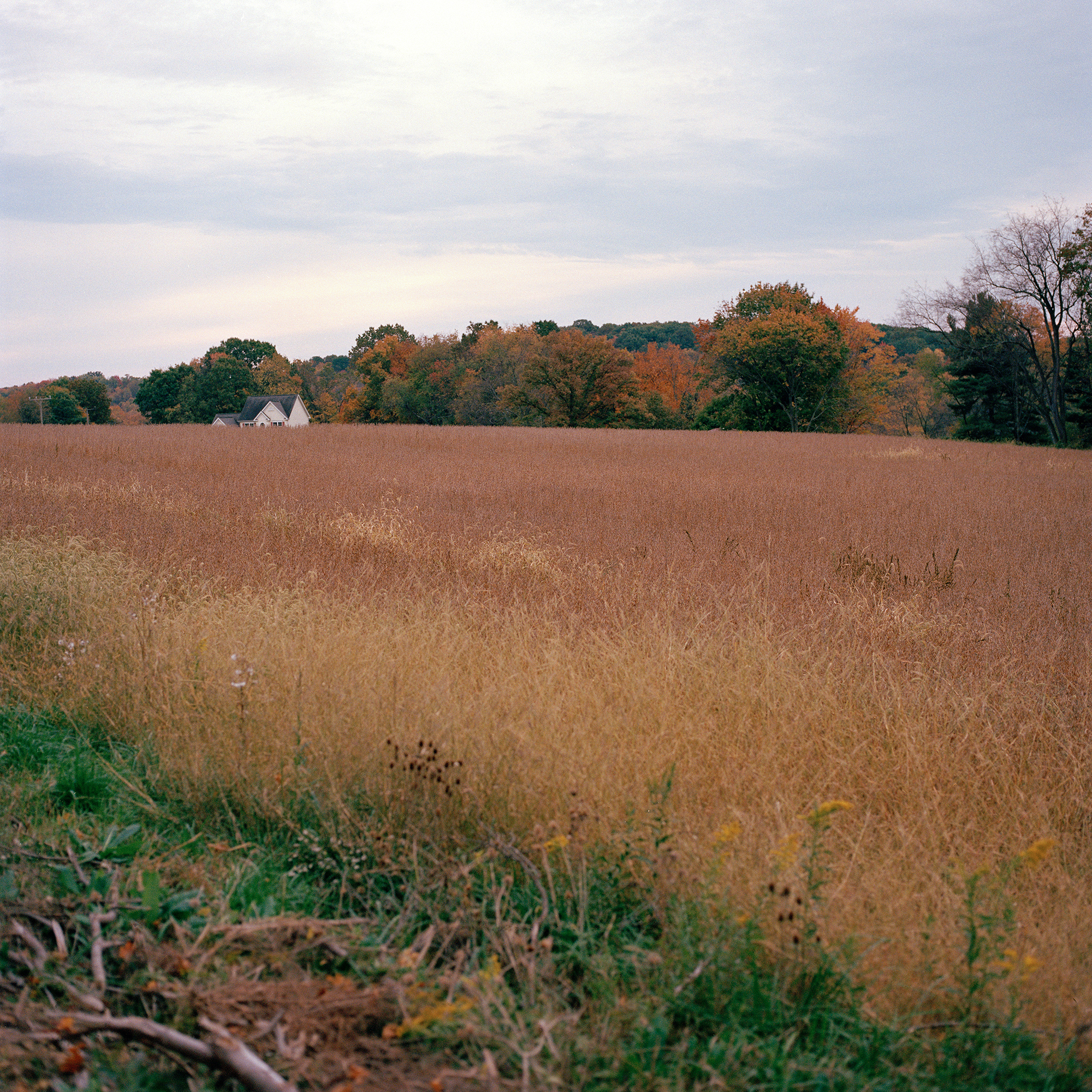 A home along the horizon of a field in fall