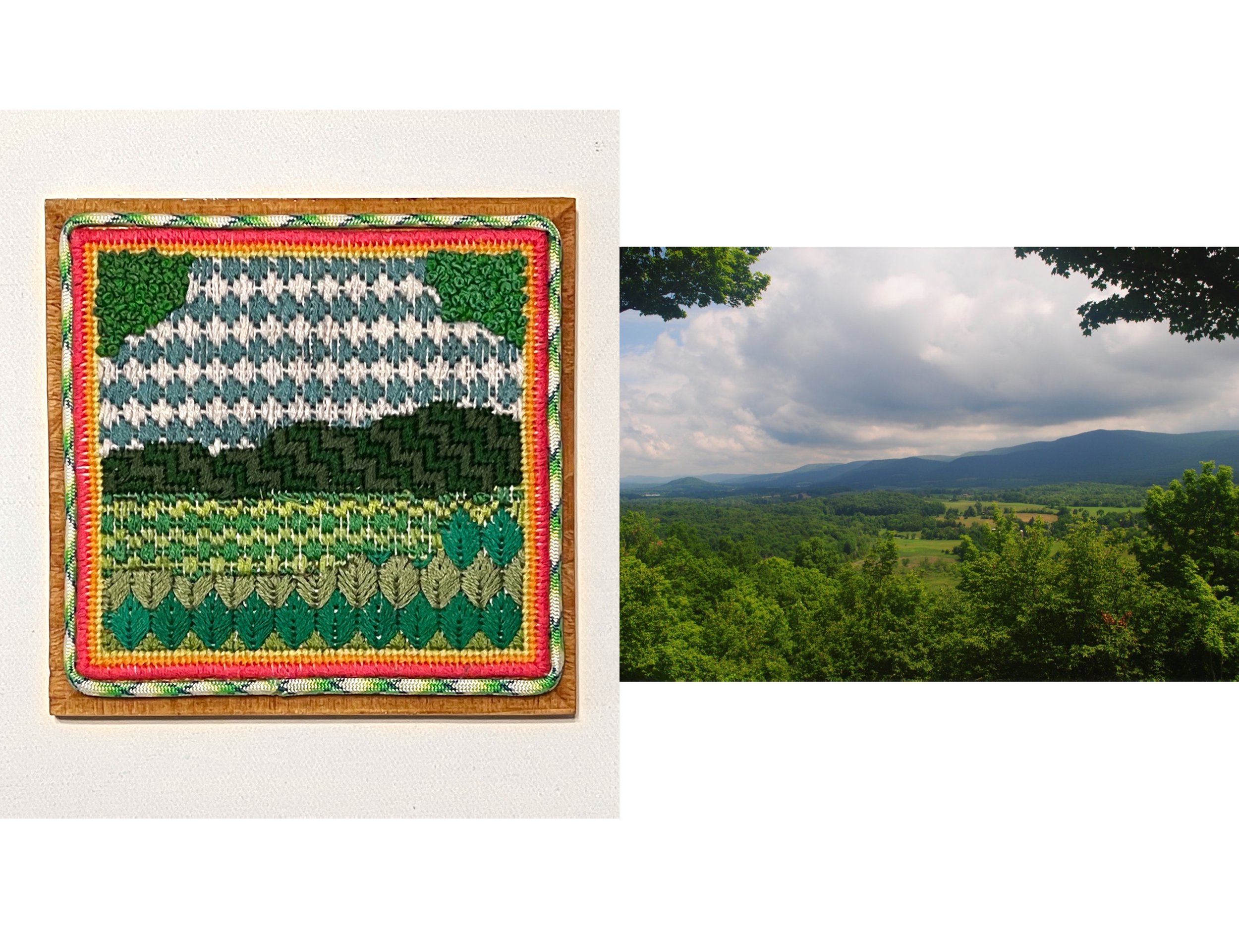 Columbia Land Conservancy Needlepoint 2 - Drowned Lands Swamp
