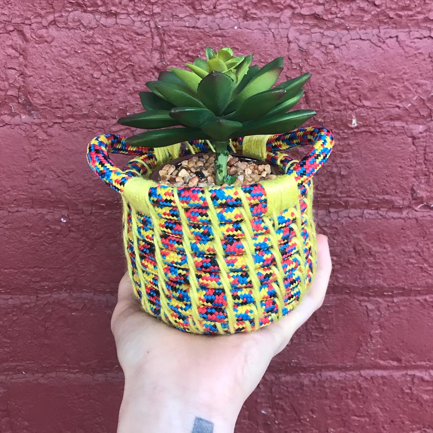 Fashion plant with handwoven pot