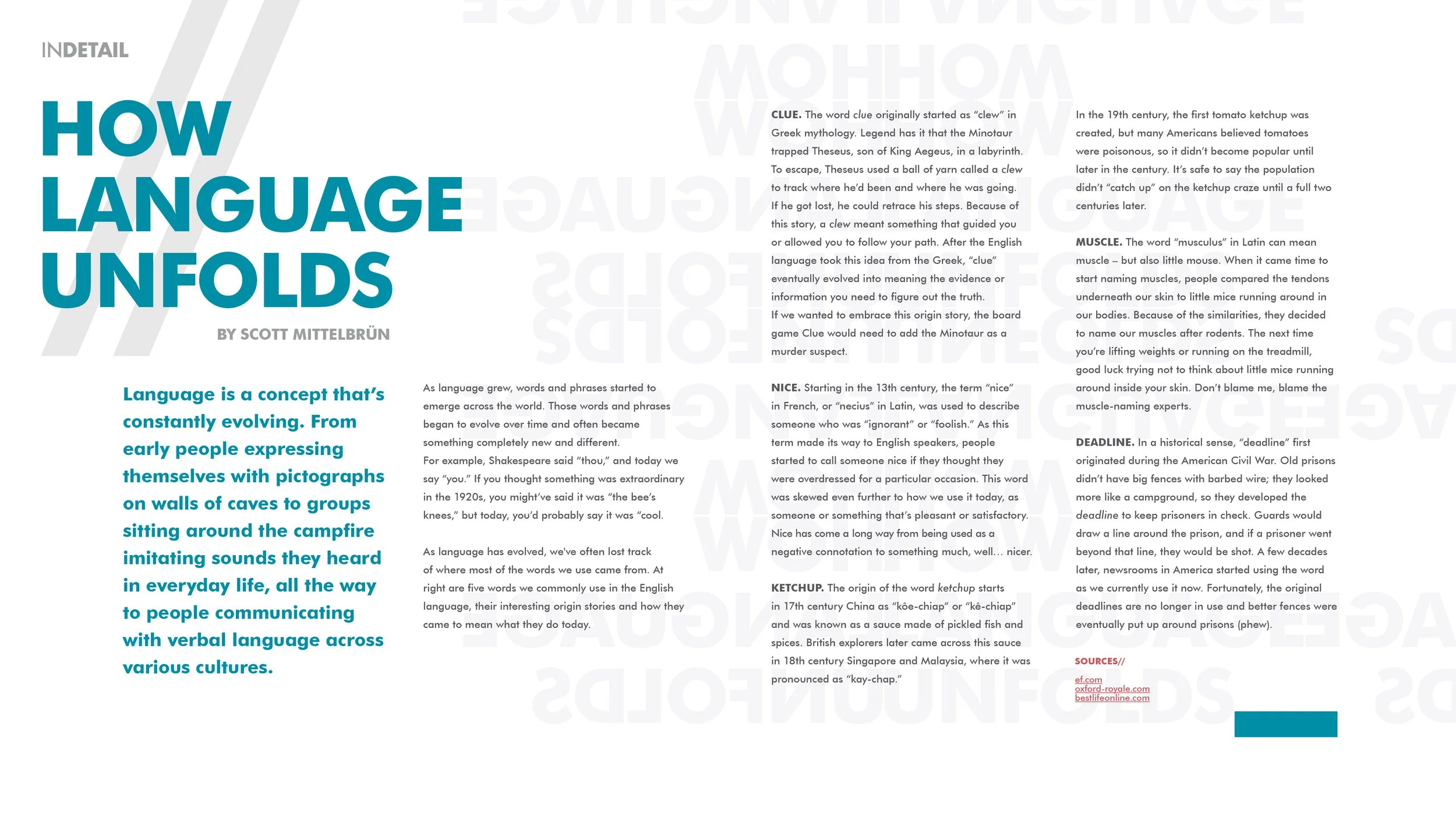 D&I-InCommon-Vol.6 Connection Through Language Issue-8.jpg