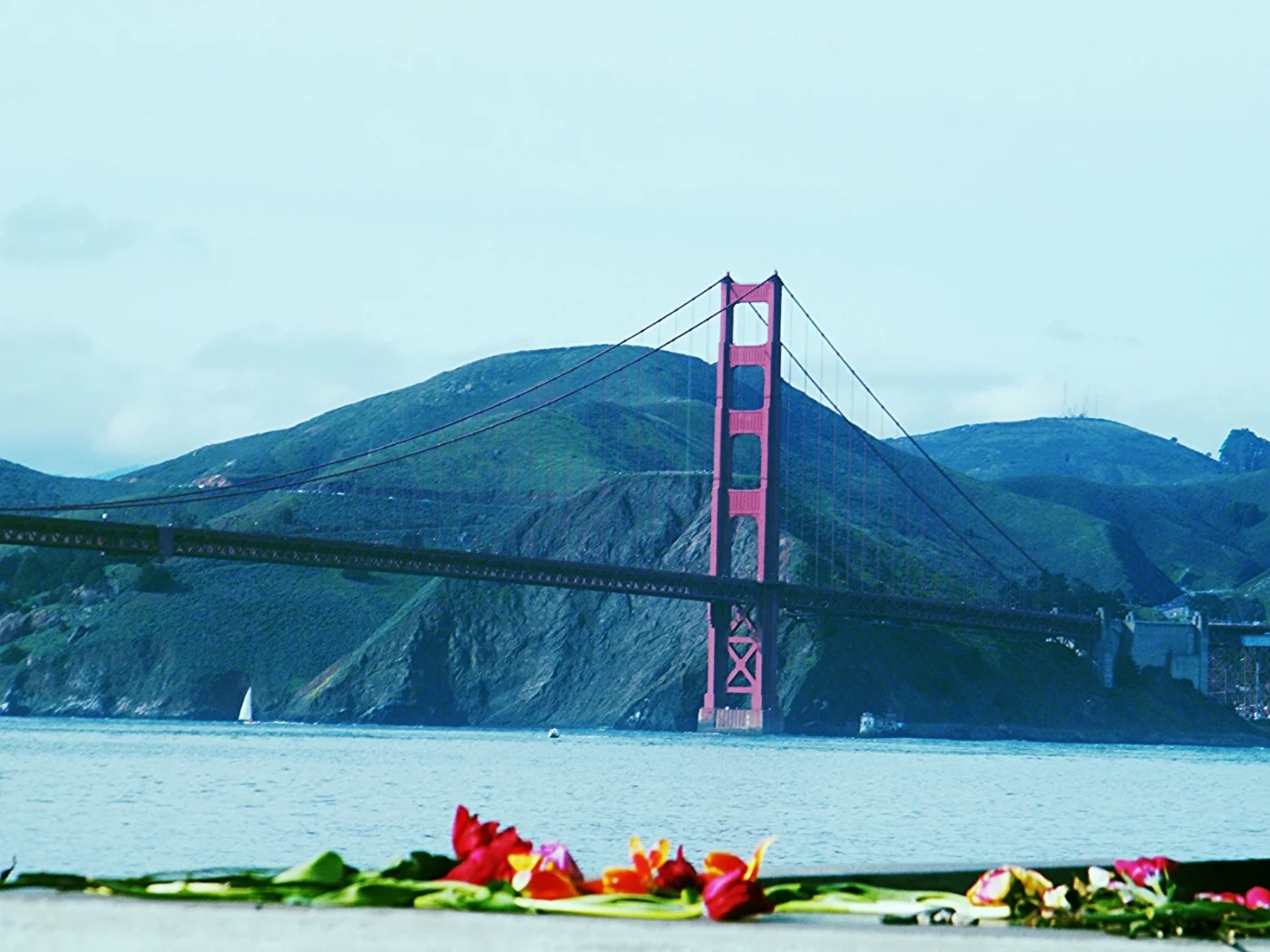 Crissy field Feb 2010 011.jpg