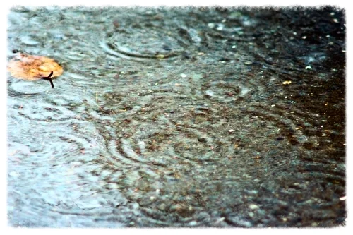 With talk of a "Godzilla" El Niño, it pays to prepare your home now to weather the coming storms. 