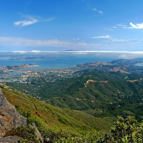 3 Places In Marin County That Combine Great Food With Nature
