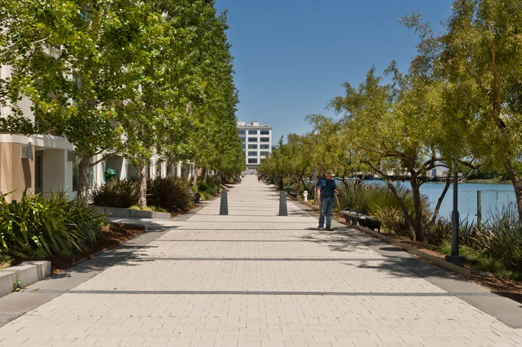 walk-2.jpg