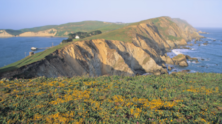 Marin Market Update-August 2016