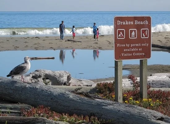 Marin's Historic Drake's Cove