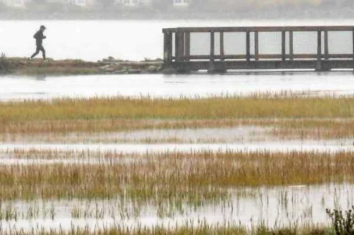 The Pickleweed Inlet of Richardson Bay in Mill Valley Friday. The first set of storms this season aided area reservoirs and eased fire concerns. (Image credits: James Cacciatore/Special to the Marin Independent Journal) 