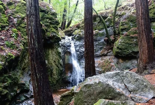 Cascade Falls, photo credit Dorothy O'Donnell.