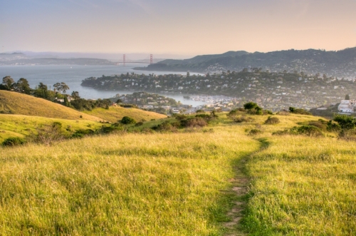 Marin Market Update-November 2016