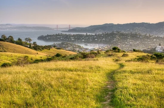 Marin Market Update-January 2017