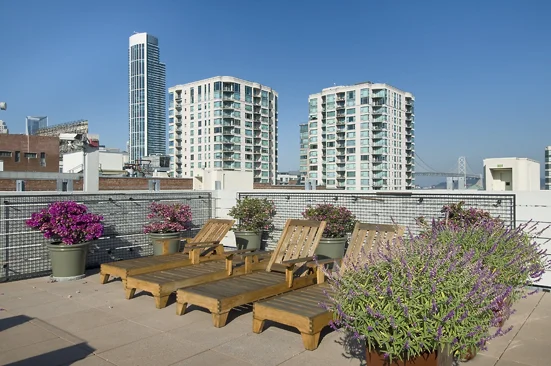 roof deck-1.jpg