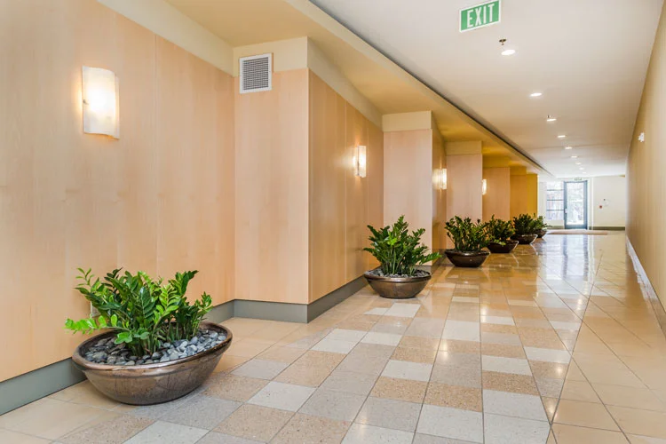 hallway.jpg