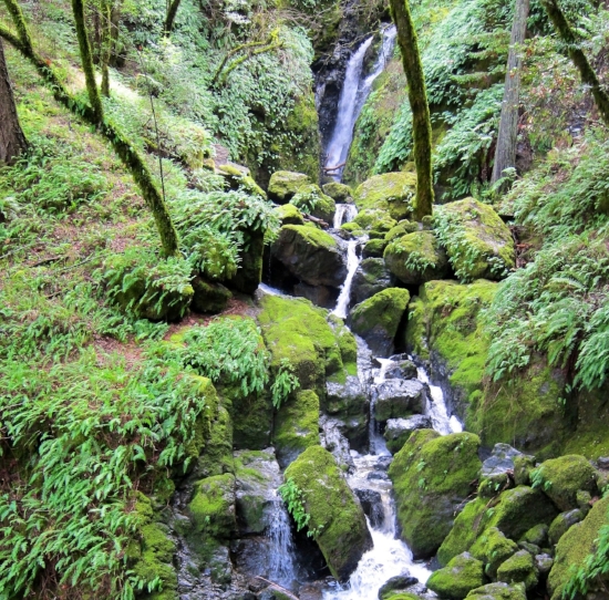 Photo by alltrails.com