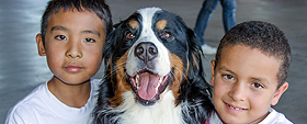 Image credit: Marin Humane Society