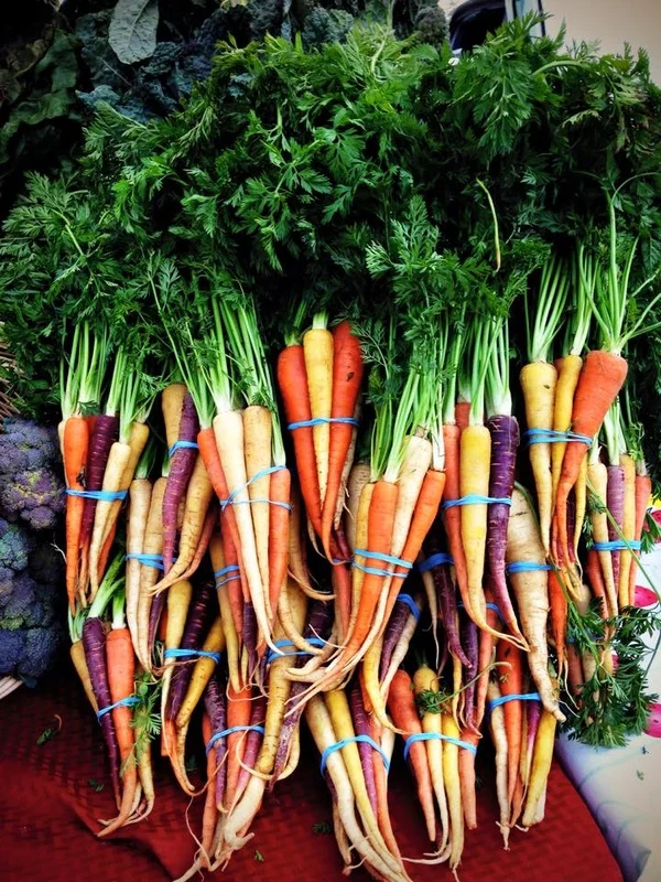 Marin County Farmer's Markets