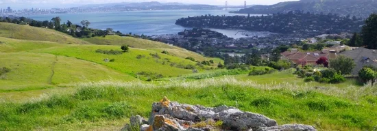 Marin Market Report-May 2017