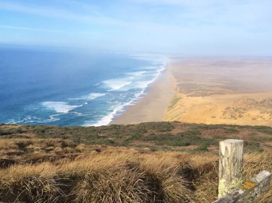 Image credits: VisitMarin.org