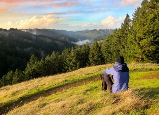 Photo credits Via Magazine: Mount Tamalpais State Park High Marsh Trail.