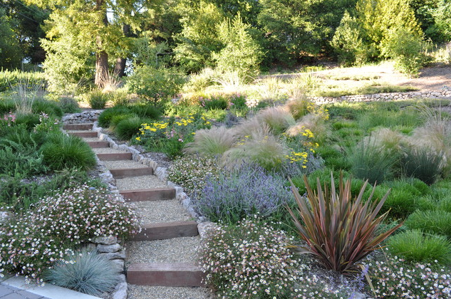 Water Smart Landscaping
