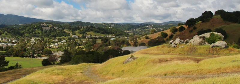 Marin Market Update-September 2017