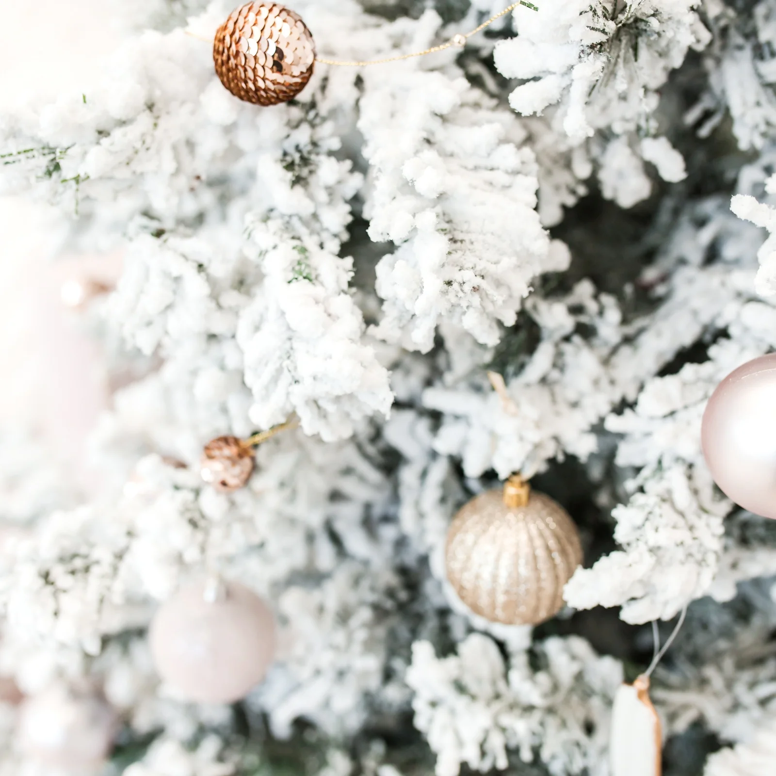 12 Days of Christmas - Day Nine