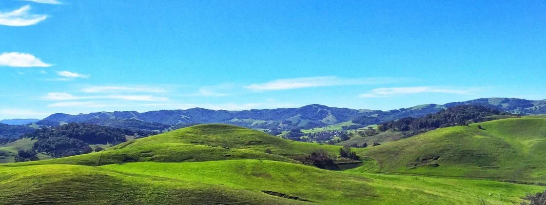 Things to Do in Wine Country (That Have Nothing to Do With Wine)