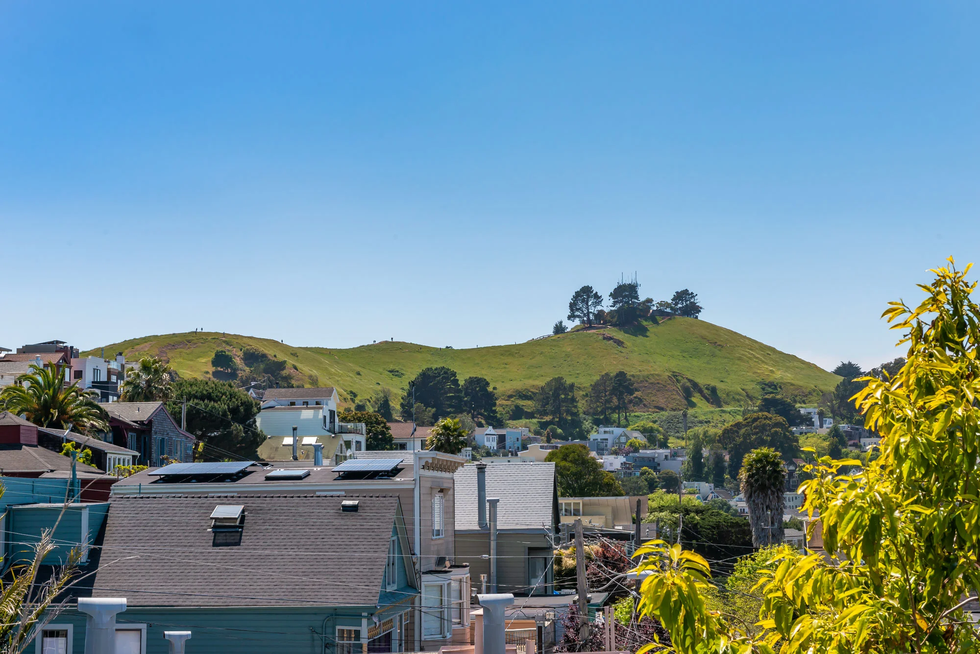 bernal.jpg